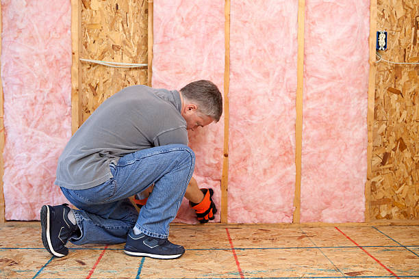 Best Residential Insulation in Holladay, UT